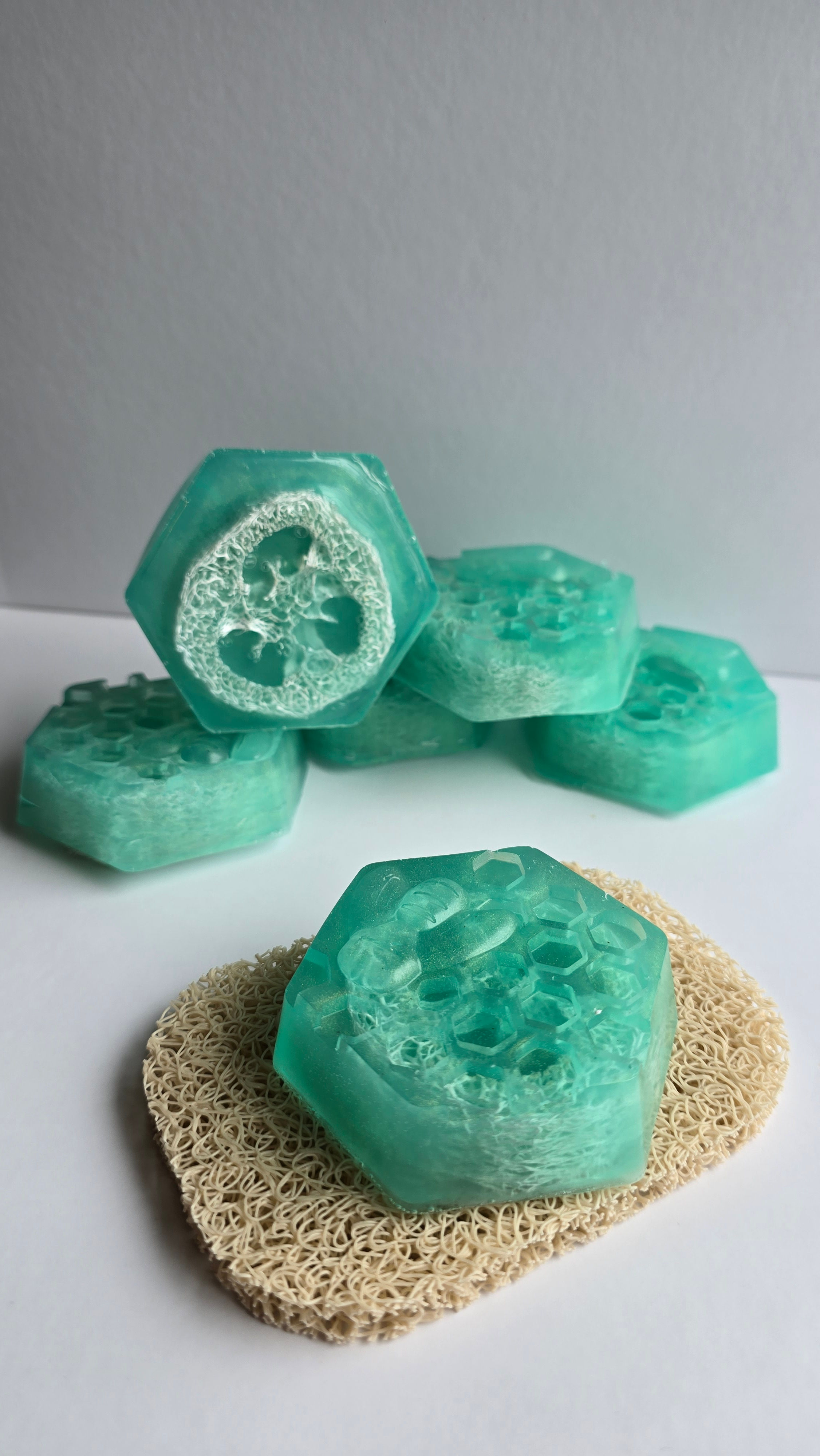 Aloe + Cucumber Loofah Soap