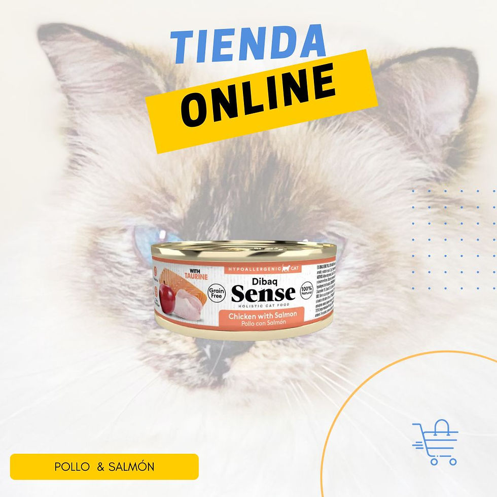 Dibaq Sense Pollo y Salmón