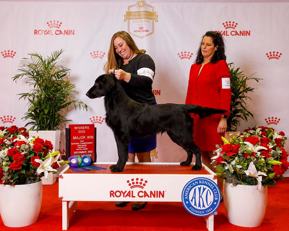 Morvern Finite Incantatem