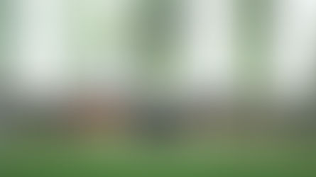 Notre Dame vs CFP Contenders: A Look at the Stats