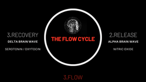 4 Stages Of The Flow Cycle: The Scientific Guide To Finding Consistent Flow States