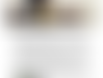 La grosse boulette... !