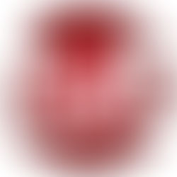 Première interview télé