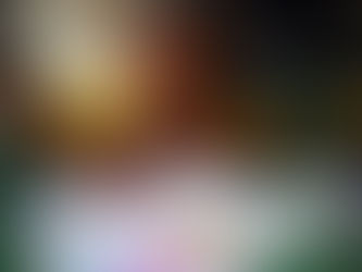 What’s Up in Kindergarten 2?