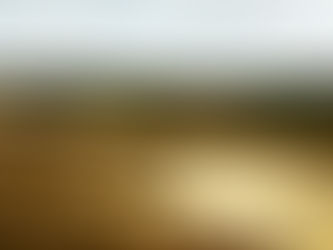 “This must be Matthew’s wife!”