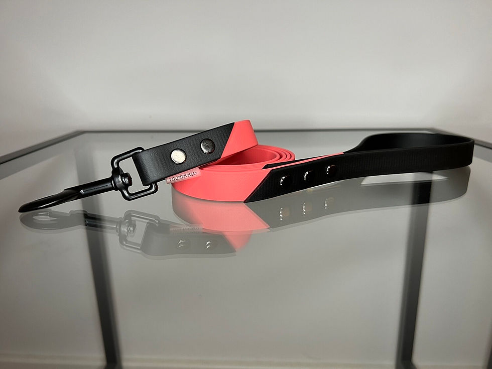 Biotanas. 19mm, 1.5m rožinės spalvos pavadėlis su juoda rankena