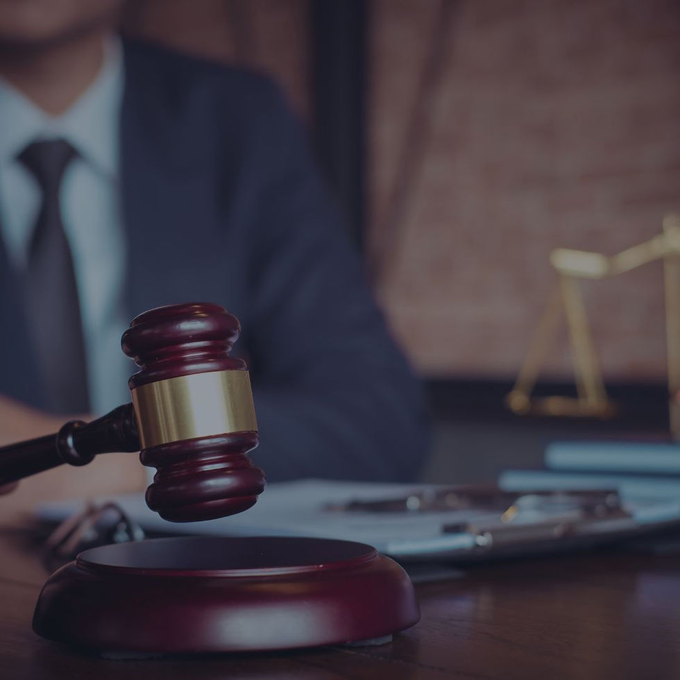 gestão de contratos e a nova lei de licitações