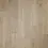Thumbnail: RevWood Plus - Bellente