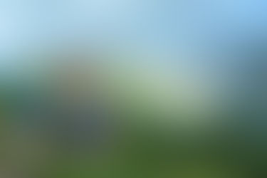 How to Achieve Self-Actualization