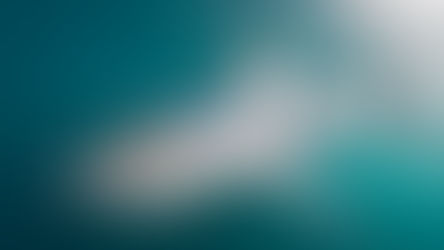 Who Might Be the Predator Targeting a Shark?