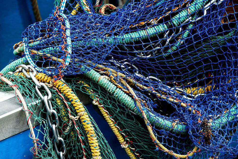 nets used for fishing