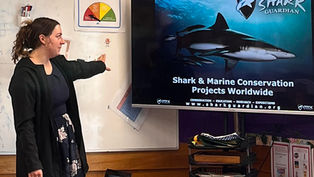 Making Waves Worldwide: Breanna's Shark Guardian Initiative