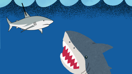 Sharks Turning on Each Other: Is Technology Revealing a Hidden Ocean Battle?