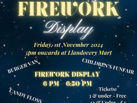 Friday 1st November - Firework Display