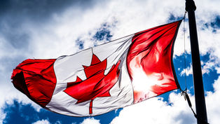 Canadian Fishery Officers Unearth 3,000 Illegally Held Shark Fins