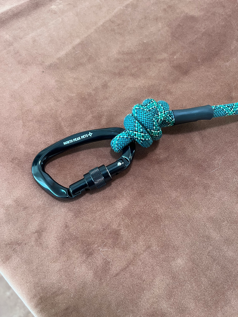 Thumbnail: Sea Monster Upcycled Climbing Rope Dog Leash