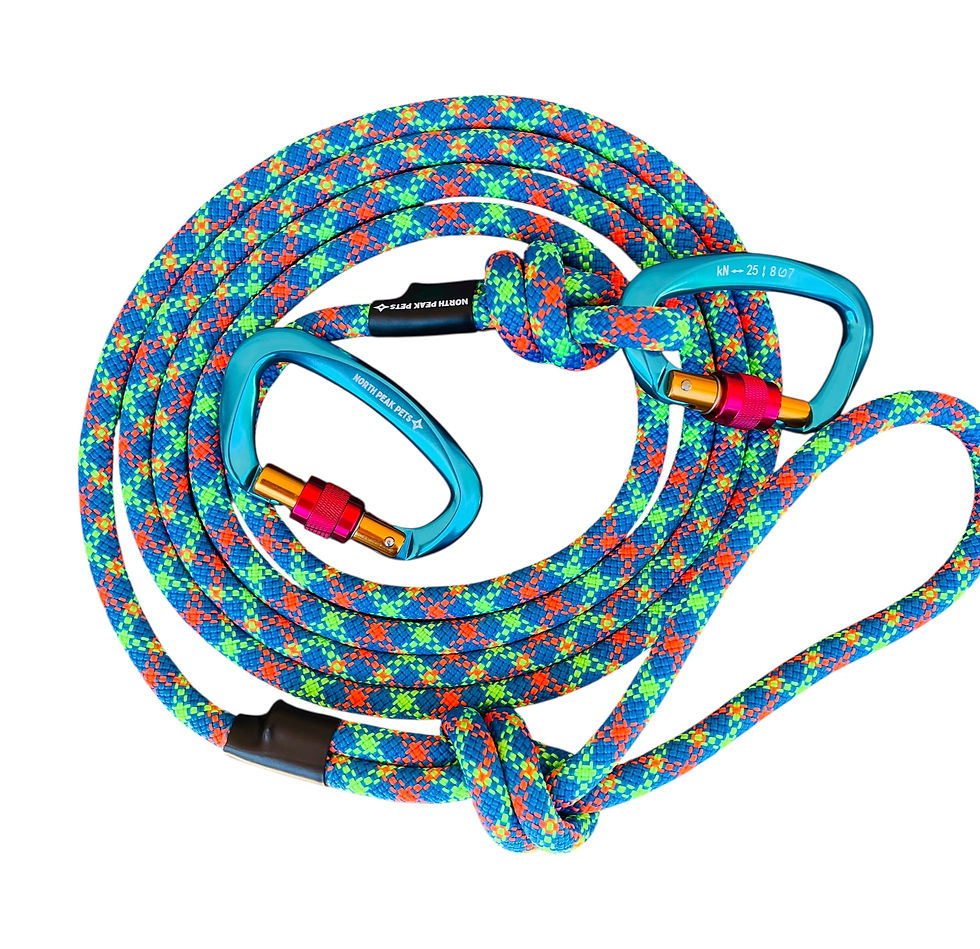 electric rain 10ft climbing rope leash