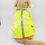 Thumbnail: Reflective safety vest