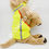 Thumbnail: Reflective safety vest
