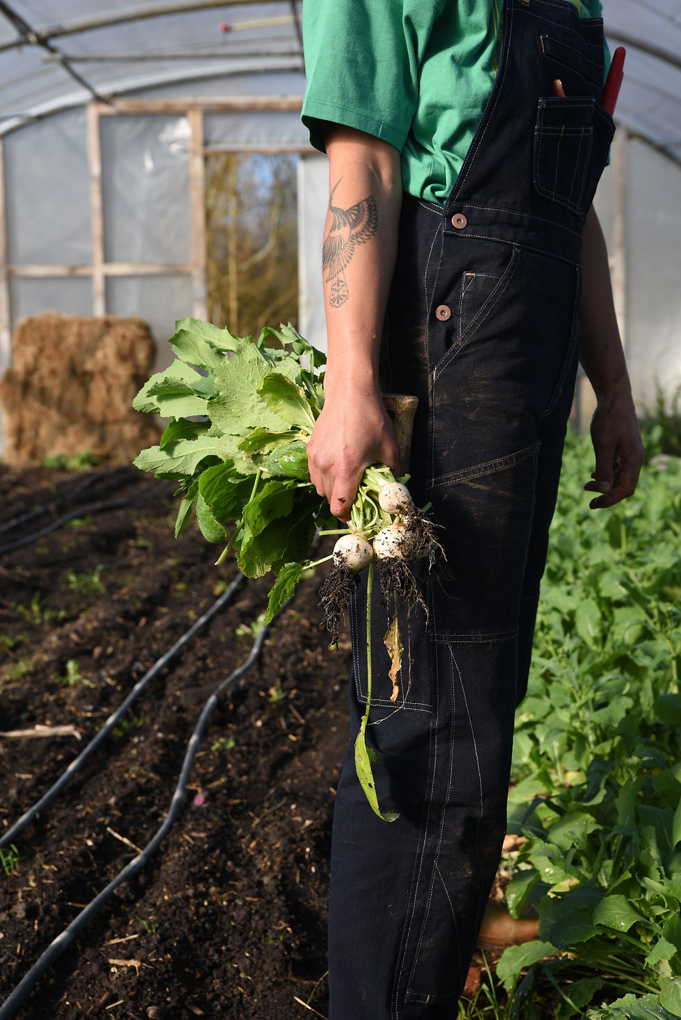 Thumbnail: Lisa Dungarees - DAMSON MADDER