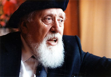 Reuven Feuerstein.jpeg