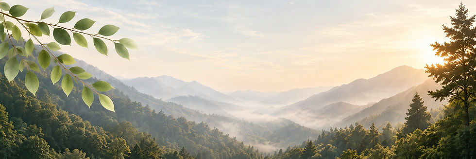 legal-banner-01.jpeg