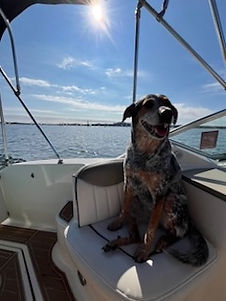 Lake-Travis-Boat-Rental-Dog.jpeg