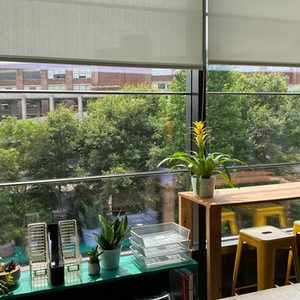 Workspace Spatial Strategy for Local Nonprofit