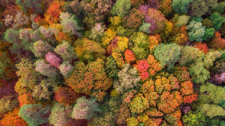 AdobeStock_294457763.jpeg