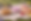 Sweet treats on a picnic blanket.png