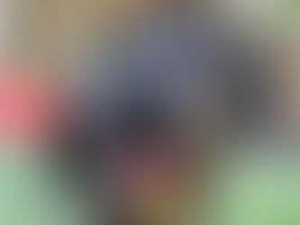 Foster SLA Needs Dog Fosters to Help Save Lives!