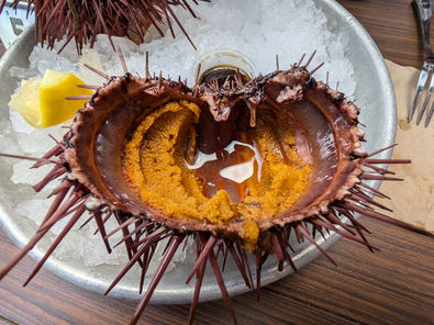 聖塔芭芭拉渡假去