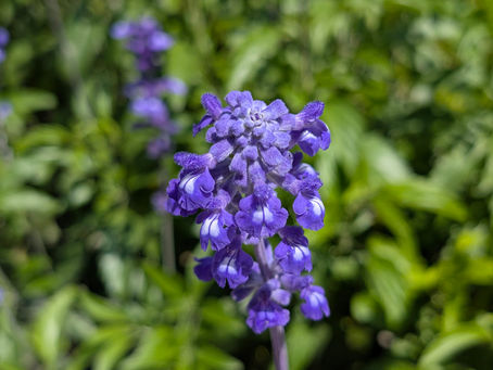 按照自己的步調過一天