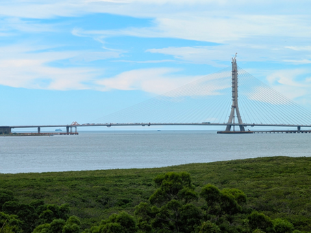 和平是無可替代