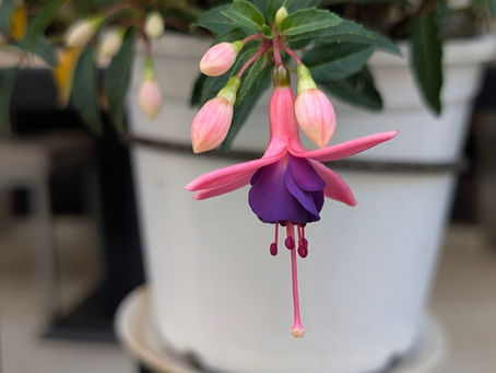 Never lose control !