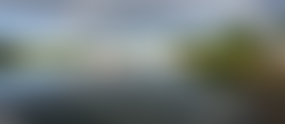 10 Can’t-Miss Spots Along My Walking Route in Branford, Connecticut