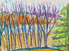 SCary_Winter Trees and Beyond_6'x8%22_oi