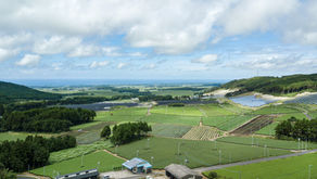 はるとなりの「春初摘み」「秋蔵出し」とは？