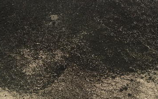Topsoil_Planters mix.jpeg