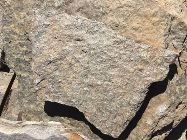 Gray Flagstone.webp