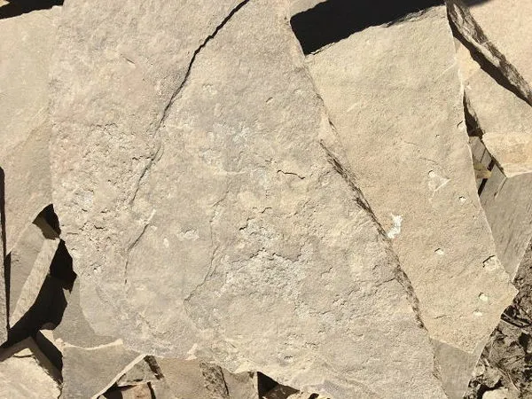 Tan Flagstone.webp