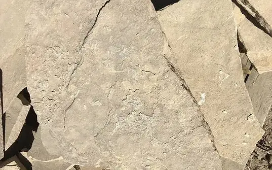 Tan Flagstone.webp
