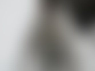 O conceito de elegância é de consenso comum?