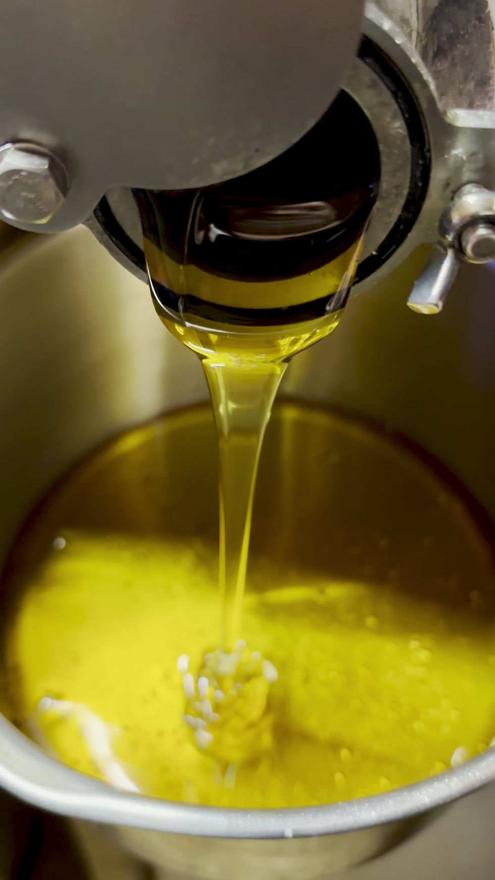 Thumbnail: Raw Single Source Atherton Honey 250g Straight from the hive