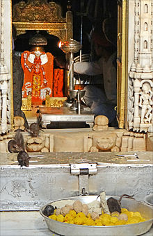 220px-La_statue_de_la_déesse_entourée_des_rats_sacrés_(Temple_de_Karni_Mata)_(8423510937)