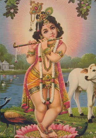 ikrishna-boy