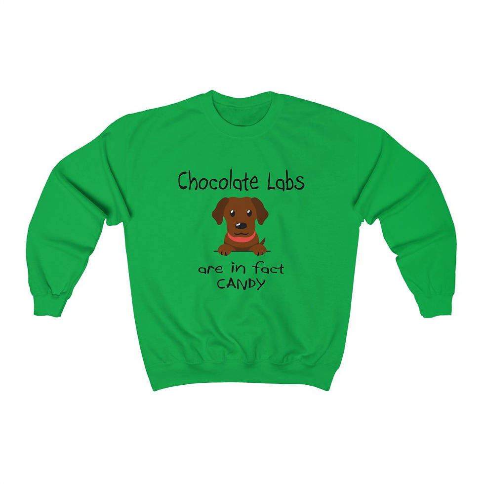 Thumbnail: Chocolate Labs are in fact candy 