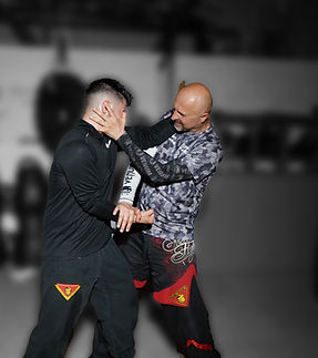 Sebsverteidigung TB Wing Tsun Düren Merzenich