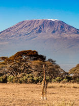 Monte Kilimanjaro, Tanzania