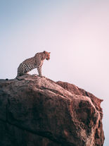 Parque Nacional Kruger, Sudáfrica